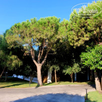 фото из отзыва ID 2638685