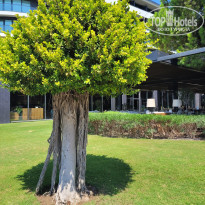 фото из отзыва ID 2638685