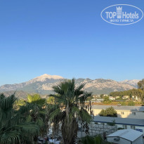 фото из отзыва ID 2638707