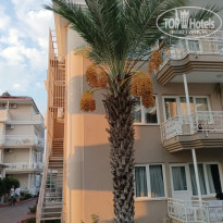 фото из отзыва ID 2638724