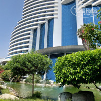 фото из отзыва ID 2634935