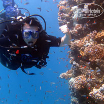 фото из отзыва ID 2637947