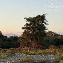 фото из отзыва ID 2638784