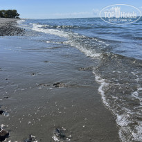 фото из отзыва ID 2638784