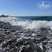 фото из отзыва ID 2638784