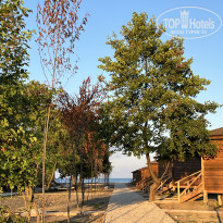 фото из отзыва ID 2638784