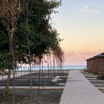 фото из отзыва ID 2638784