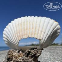 фото из отзыва ID 2638784