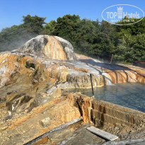 фото из отзыва ID 2638784