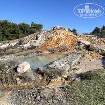 фото из отзыва ID 2638784