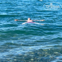 фото из отзыва ID 2638784