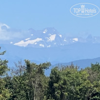 фото из отзыва ID 2638784