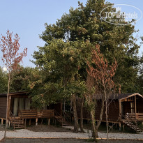 фото из отзыва ID 2638784