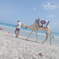 фото из отзыва ID 2638840