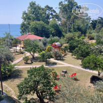 фото из отзыва ID 2638888