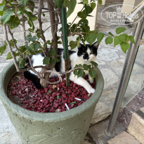 фото из отзыва ID 2638923