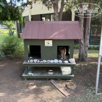 фото из отзыва ID 2638923