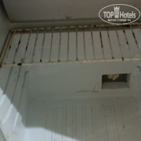 фото из отзыва ID 2638928