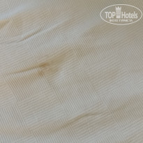 фото из отзыва ID 2638928