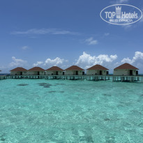 фото из отзыва ID 2638952