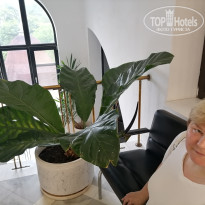 фото из отзыва ID 2639067