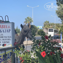 фото из отзыва ID 2639113