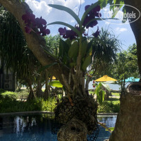 фото из отзыва ID 2639133