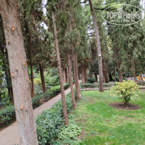 фото из отзыва ID 2639167