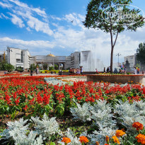 фото из отзыва ID 2639301