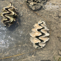 фото из отзыва ID 2639334