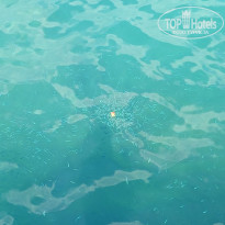 фото из отзыва ID 2639379