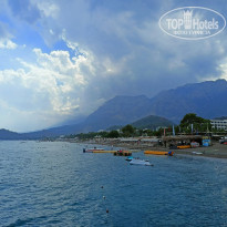 фото из отзыва ID 2639379