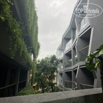 фото из отзыва ID 2639416