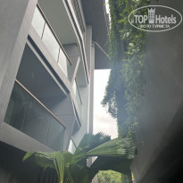 фото из отзыва ID 2639416