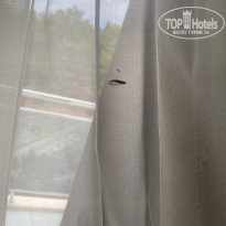 фото из отзыва ID 2639422