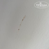 фото из отзыва ID 2639422