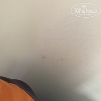 фото из отзыва ID 2639422