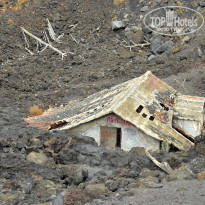 фото из отзыва ID 2639448