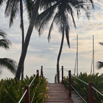 фото из отзыва ID 2639475