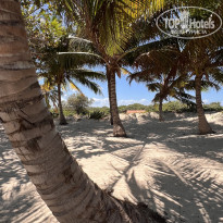 фото из отзыва ID 2639475