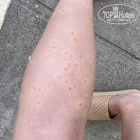 фото из отзыва ID 2639475