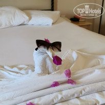 фото из отзыва ID 2639580