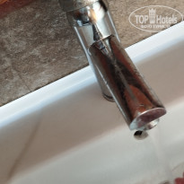 фото из отзыва ID 2639601