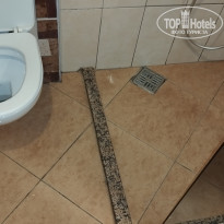 фото из отзыва ID 2639601