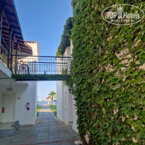 фото из отзыва ID 2639638