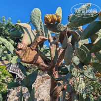 фото из отзыва ID 2639687