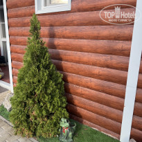 фото из отзыва ID 2639808