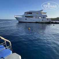 фото из отзыва ID 2639870