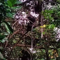 фото из отзыва ID 2639851