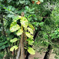 фото из отзыва ID 2639851